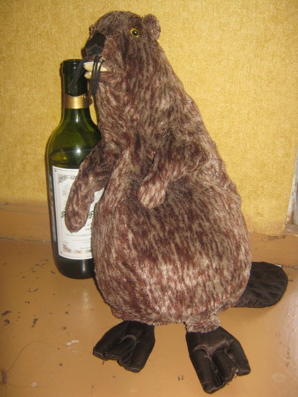 смешные бобры