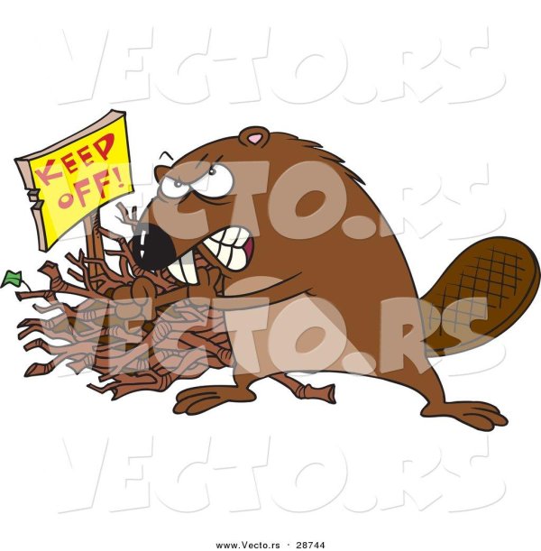 бобры мульт