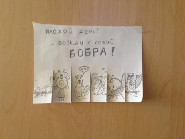 возьми с собой