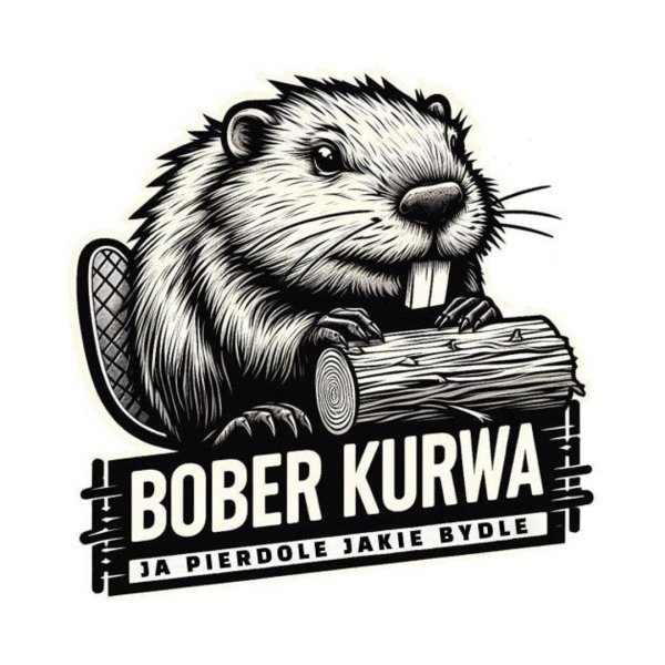bober kurwa