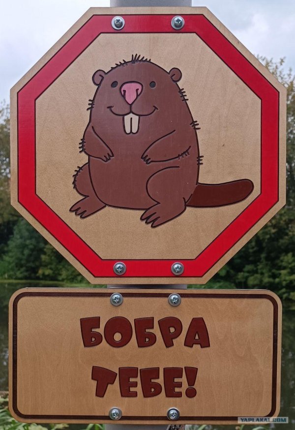 таблички знаки