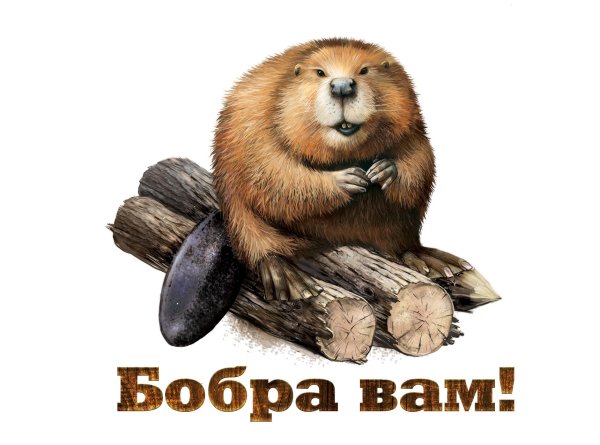 бобра вам