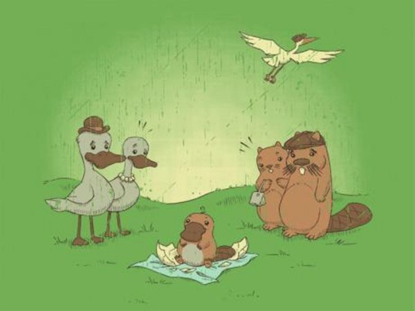 утконос арт