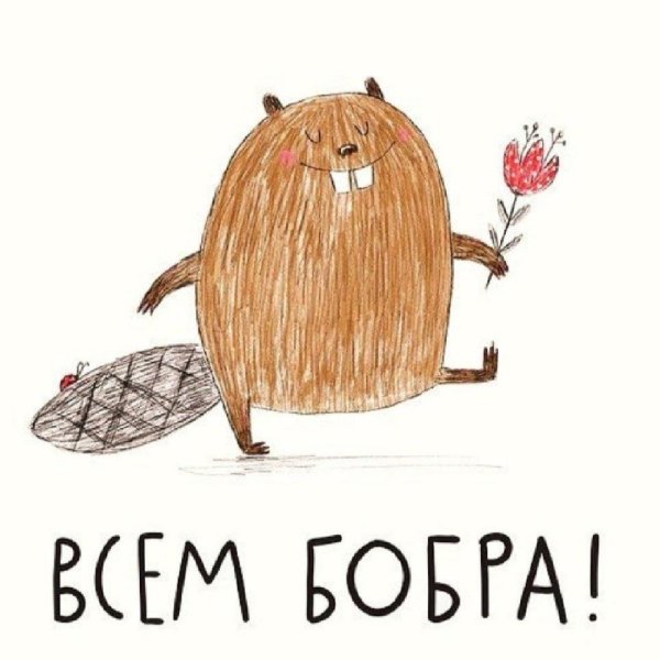 добра бобра