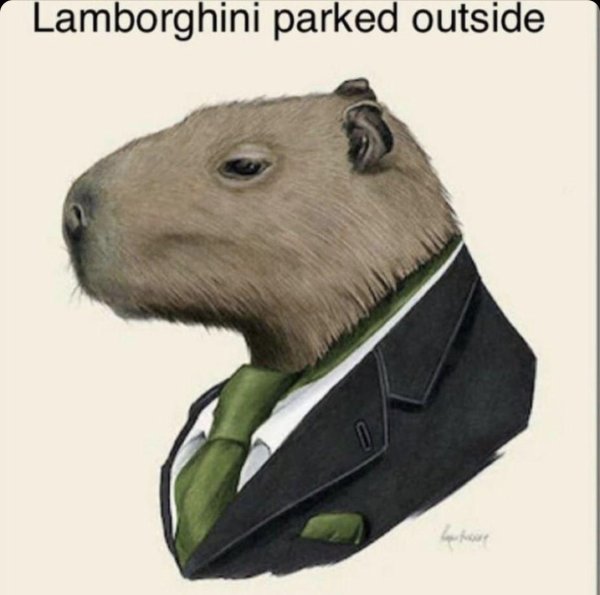 капибара 3д