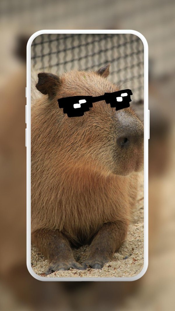 крутые капибары