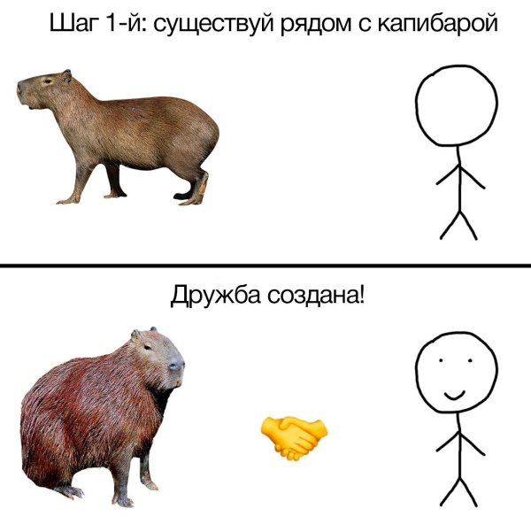 игра капибара