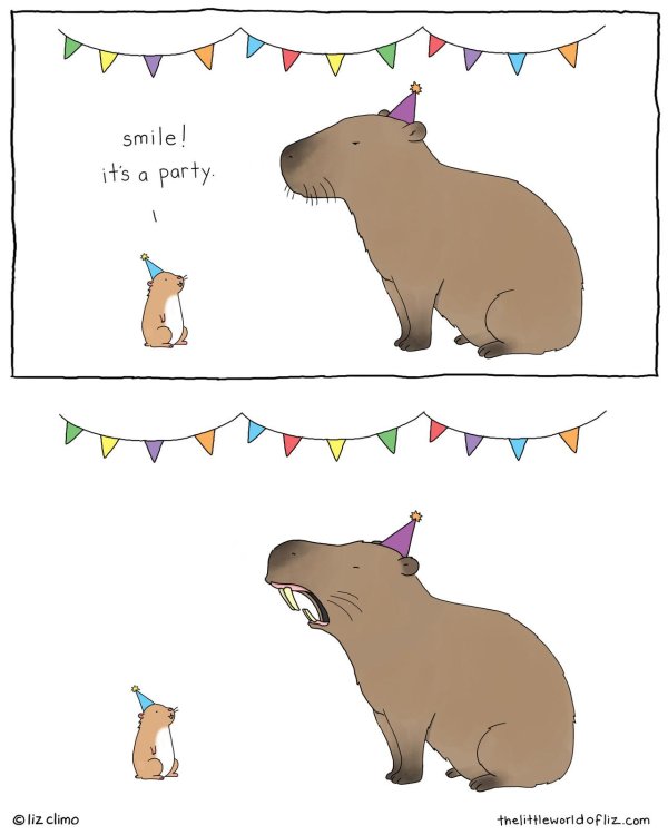 рисунок смешной капибары