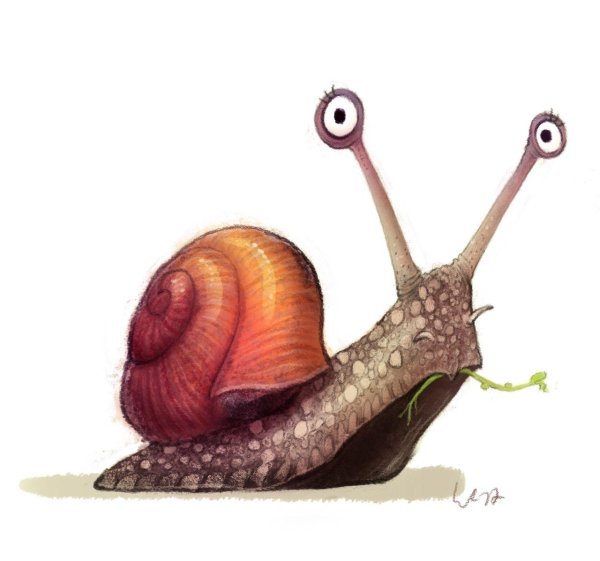 рисунки улитки