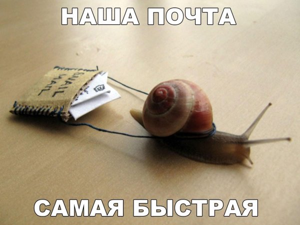 мотиваторы смешные