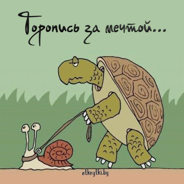 день неторопливости 26 февраля