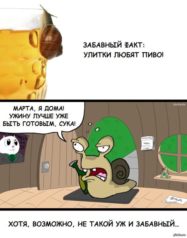 шутка про улитку