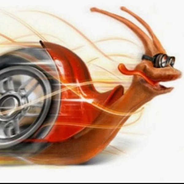 скоростная улитка