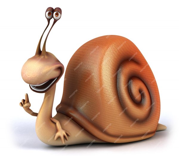 прикольная улитка