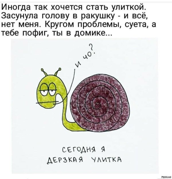 рисунки улитки