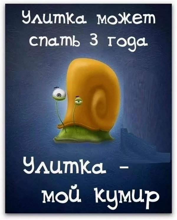 позитивные высказывания