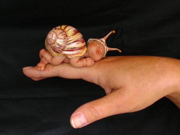 ахатина ретикулята улитята