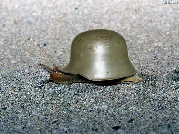 der stahlhelm