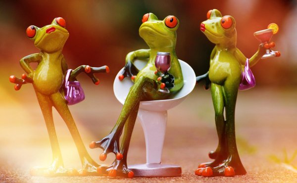 лягушка прикольная