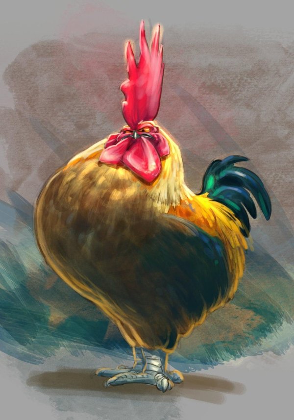 петух красивый