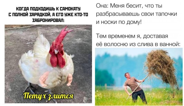 смешные позитивные картинки