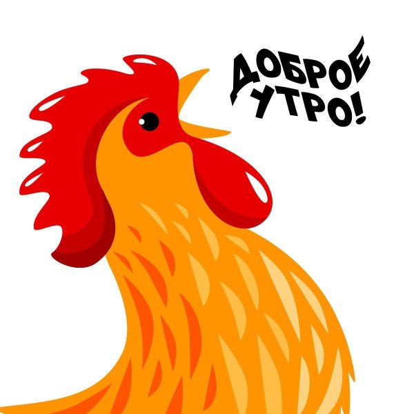 доброе утро петушок