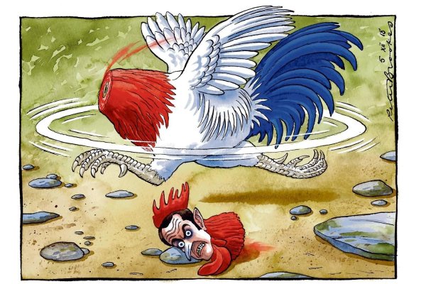 петух карикатура