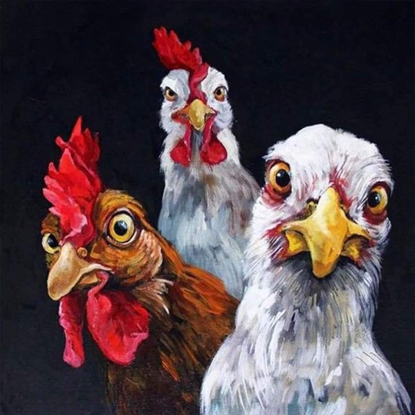 три курочки