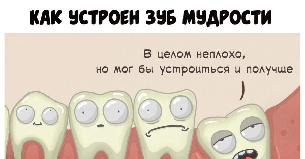 зуба мудрости