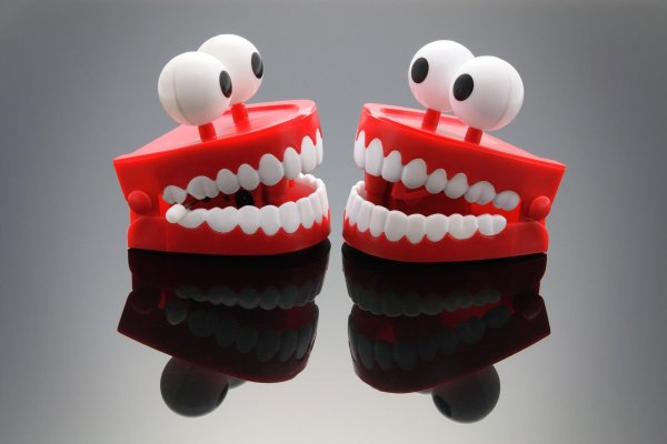 игрушка челюсть