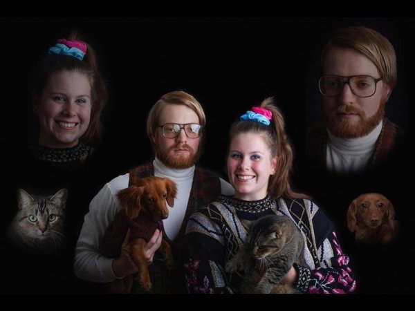 такса длинношерстная