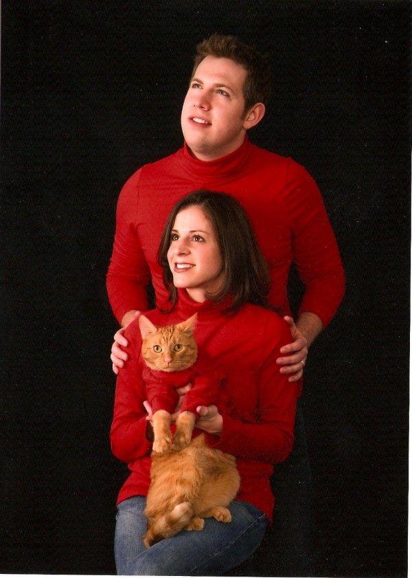 рыжие котята