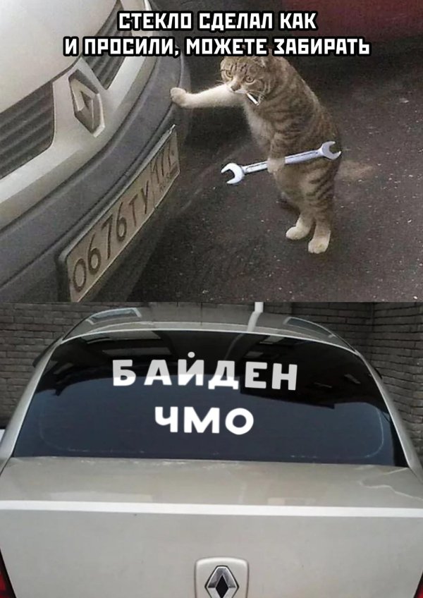 кот автомеханик