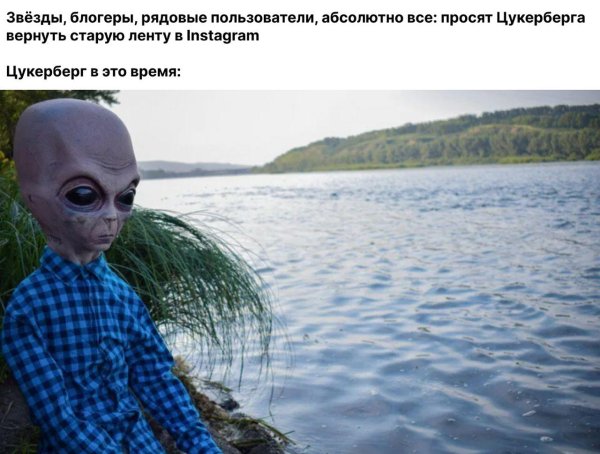 зёма великолепный