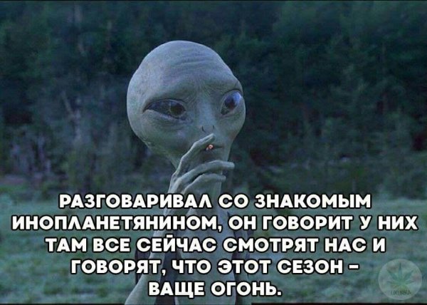 секретный материальчик 2