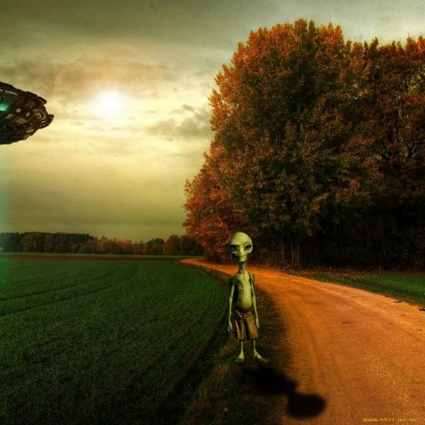 фотографии инопланетян