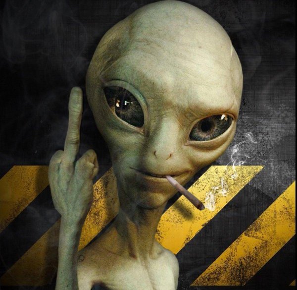 пол секретный материальчик