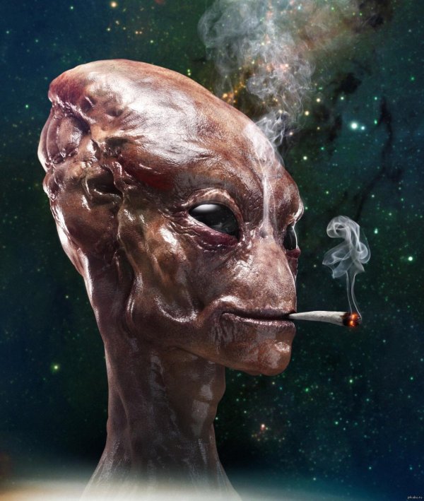 пришелец арт