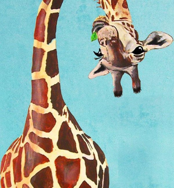 рисунки жираф