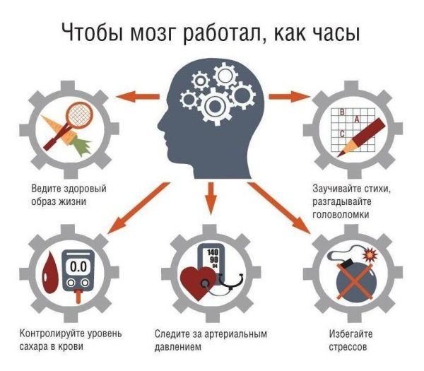 работа мозга