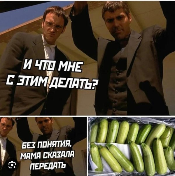 шутка про кабачки