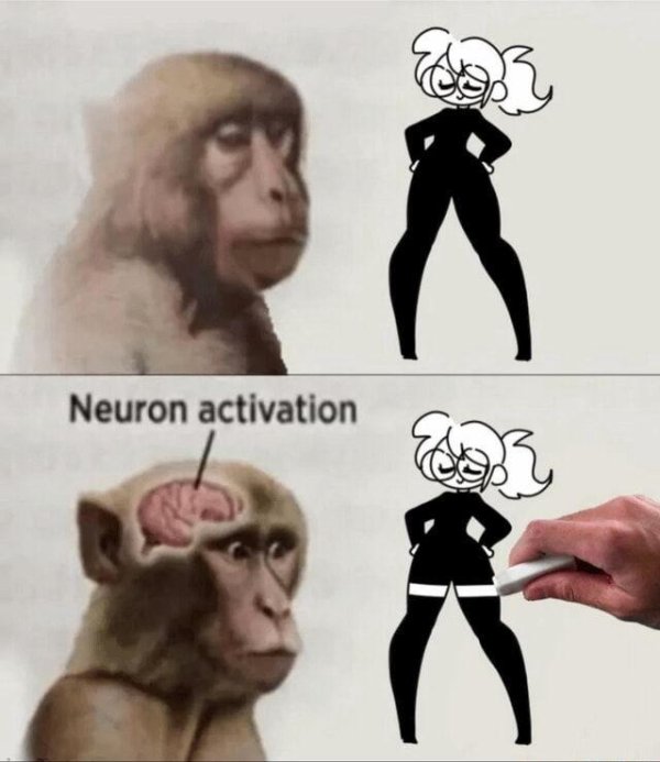 neuron activation