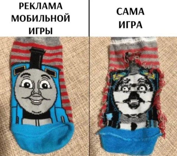 носки кот