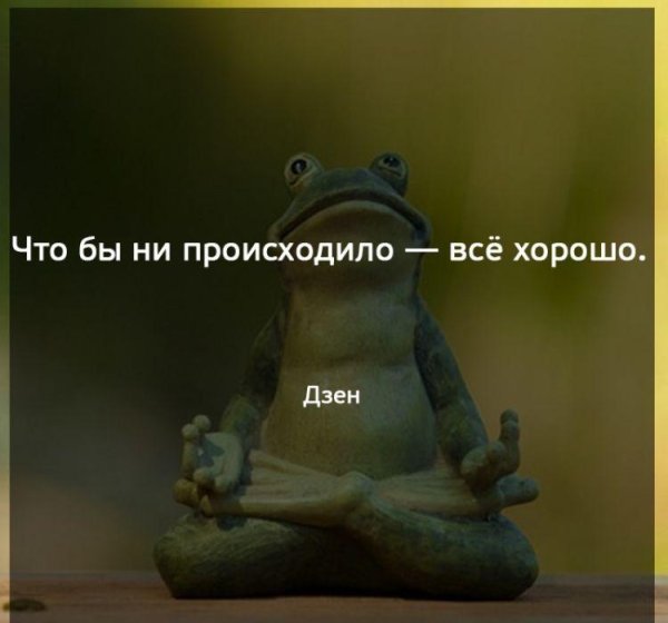 жаба медитирует