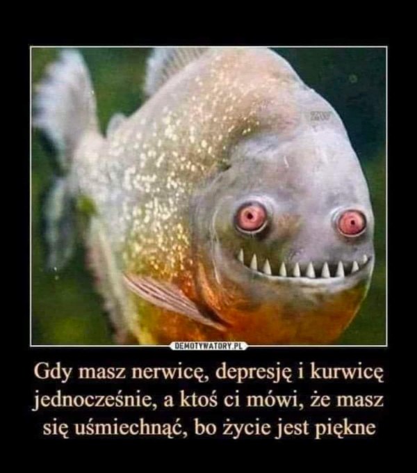 рыба пираньи