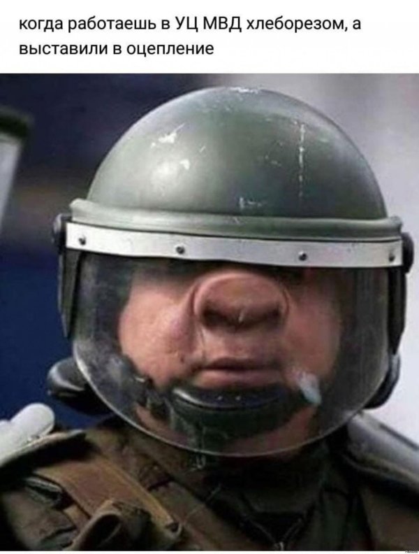 мем спецназ