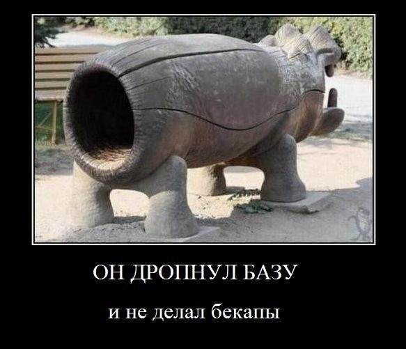 очко бегемота