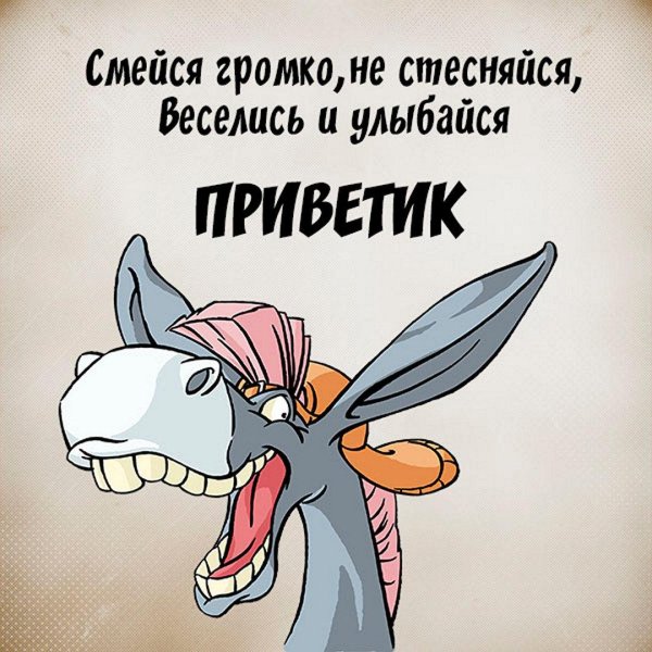 приветствие прикол