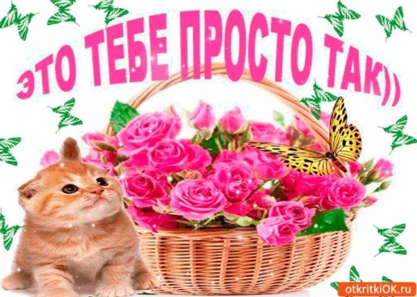 просто так открытки