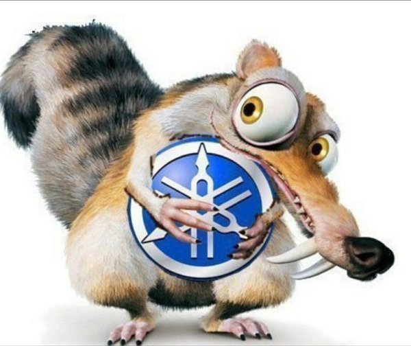 ледниковый период белка